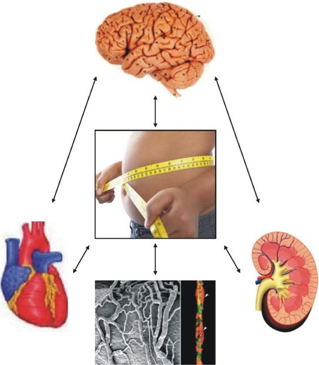 Fig. 4