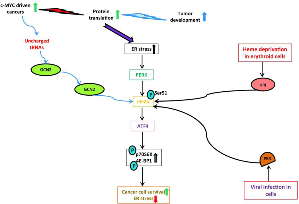 Figure 2: