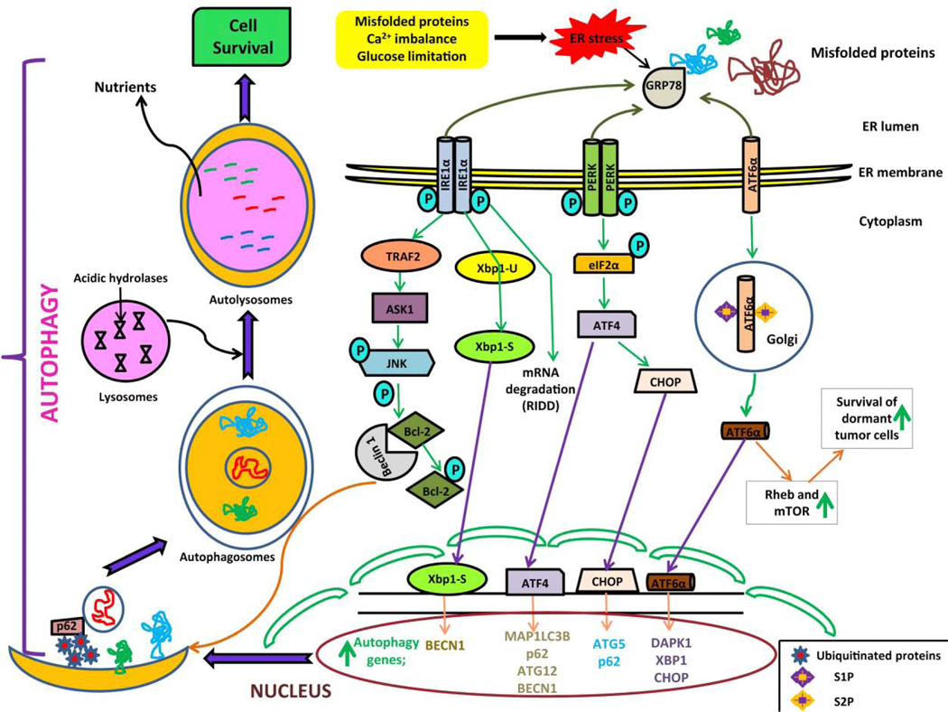 Figure 1: