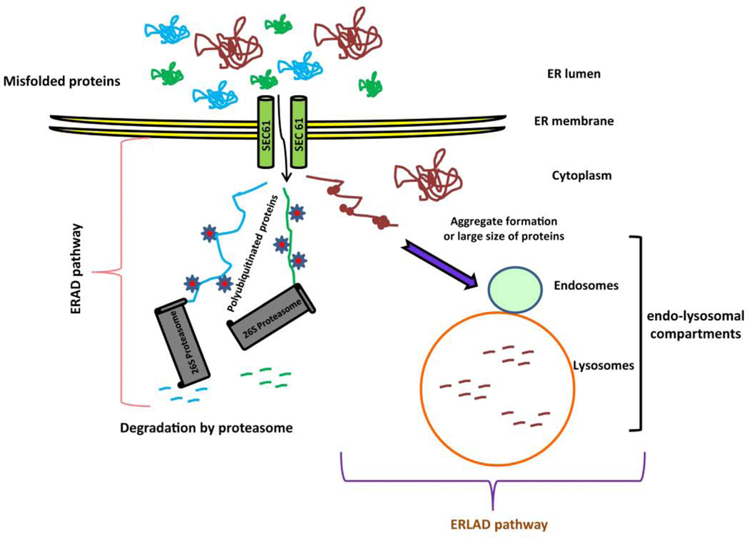 Figure 5: