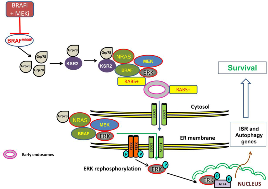 Figure 3: