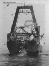 310