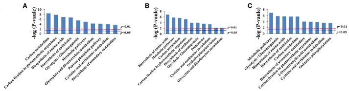 Figure 7