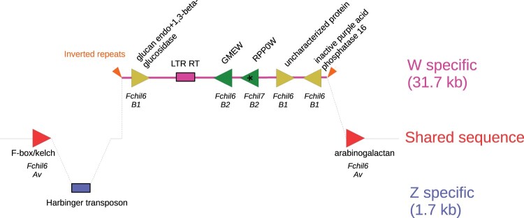 Fig. 3.