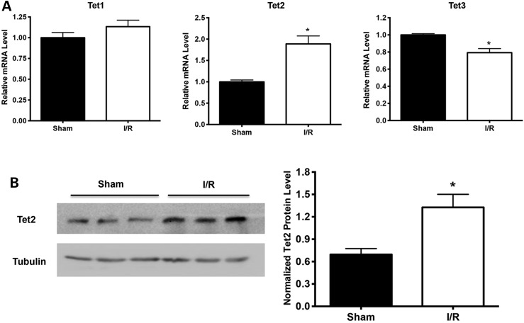 Figure 2.