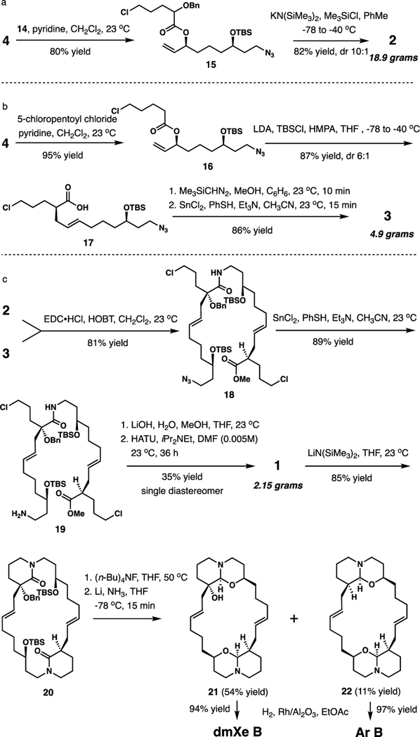 Scheme 3.