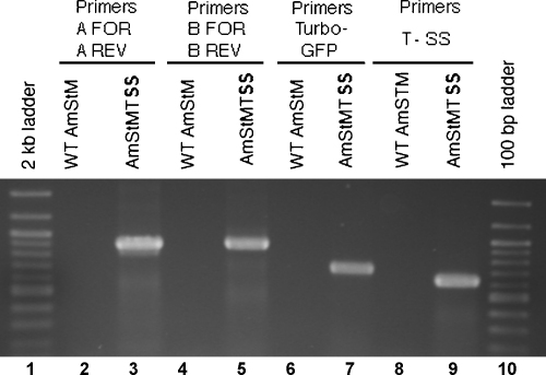 Fig. 5