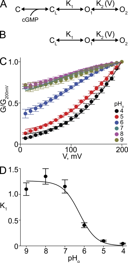 Figure 11.