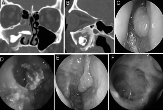 Fig. 7.