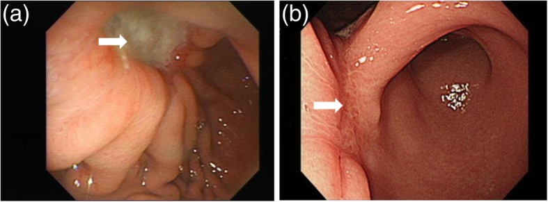 Fig. 5