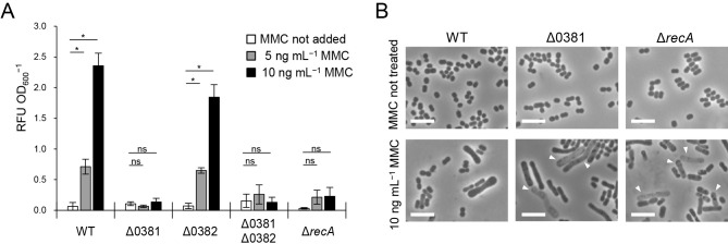 Fig. 4.