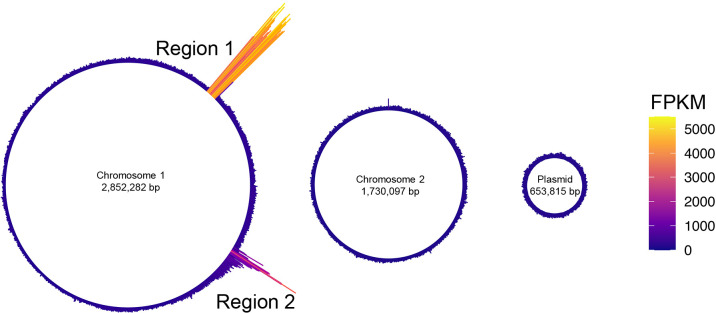 Fig. 2.