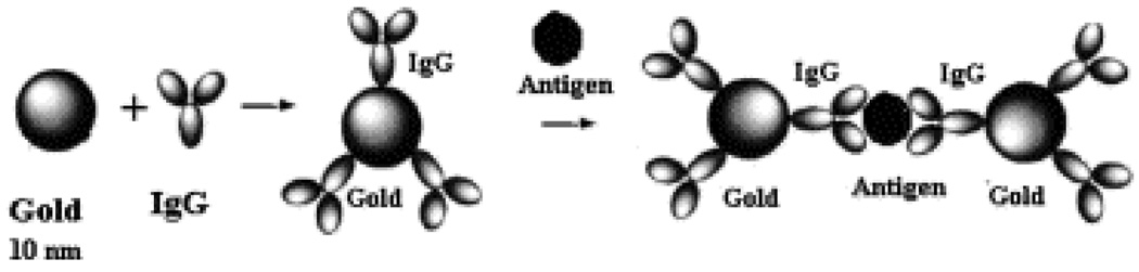 Figure 44