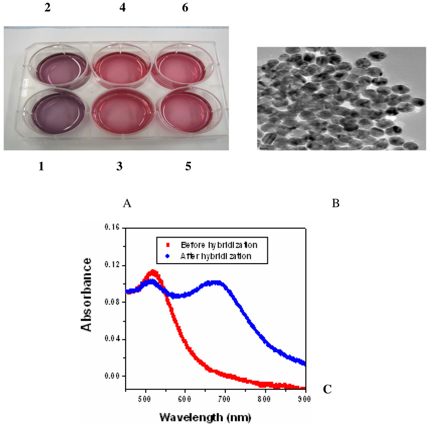 Figure 43