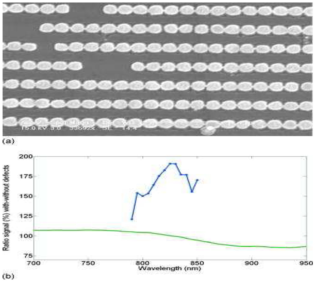 Figure 31