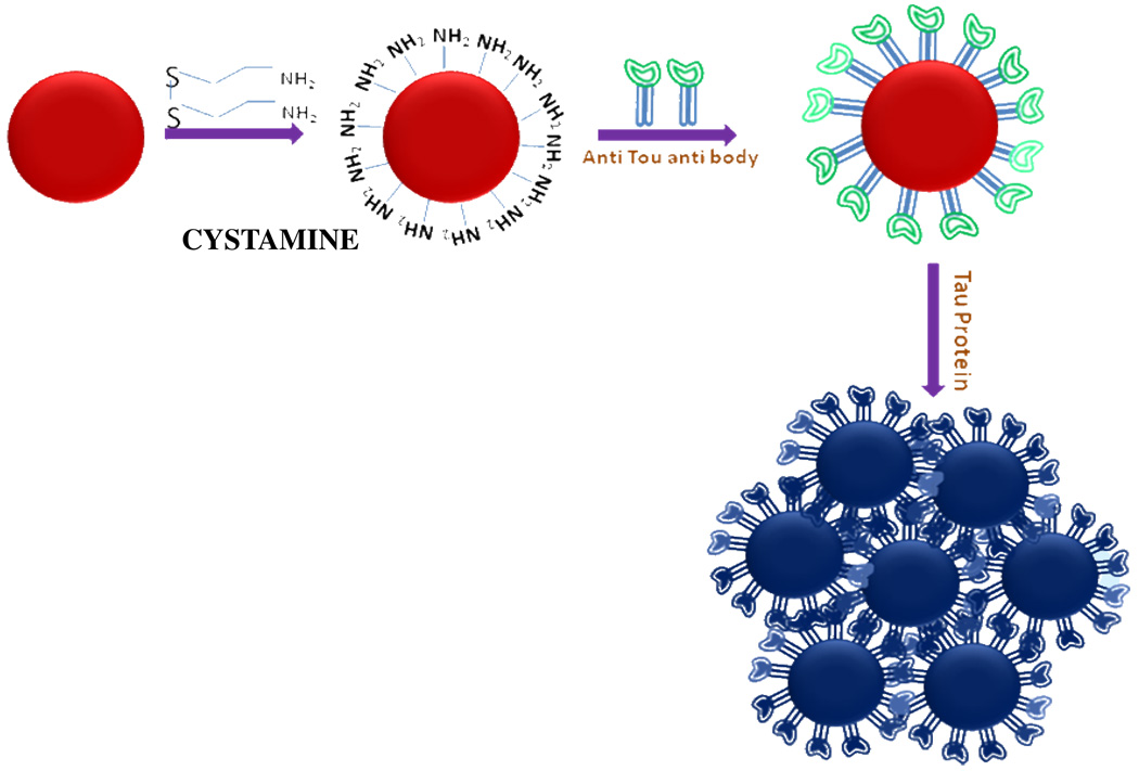 Figure 48