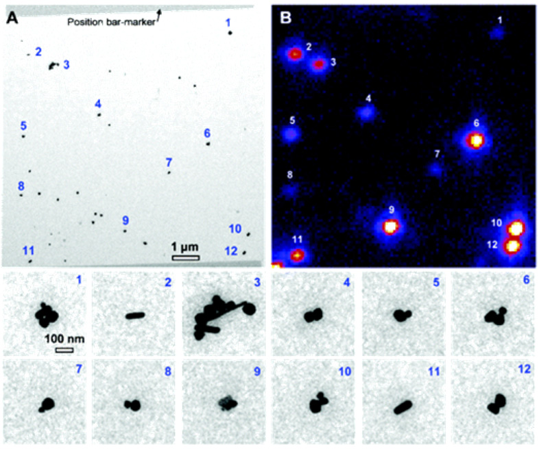 Figure 24