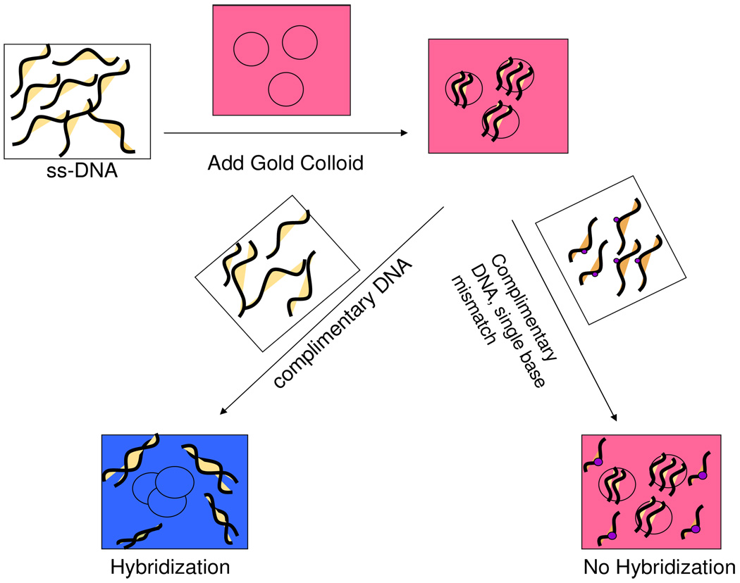 Figure 41