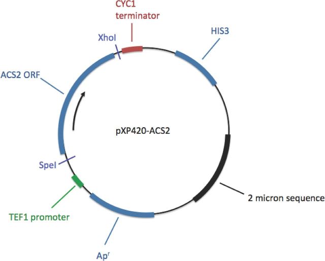 Figure 1.