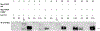 Figure 7: