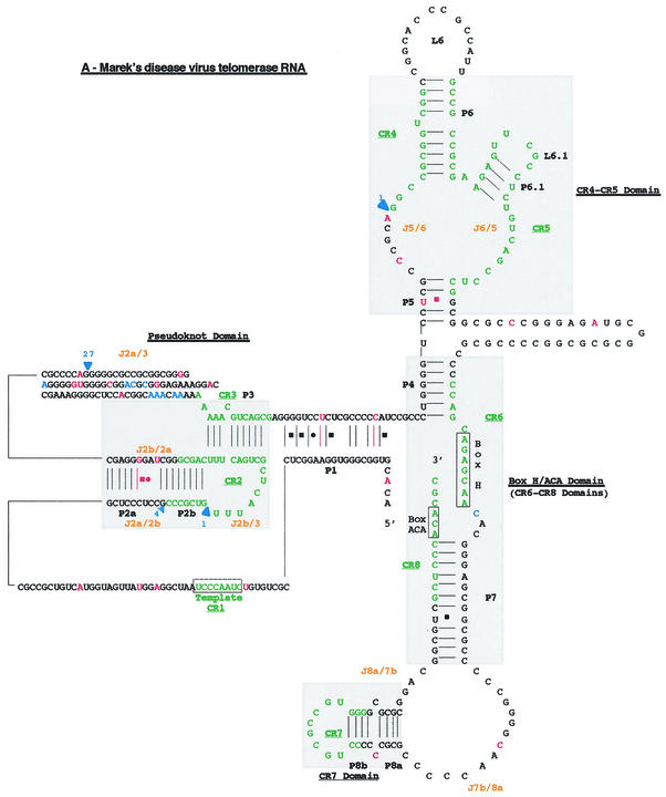 FIG. 4.