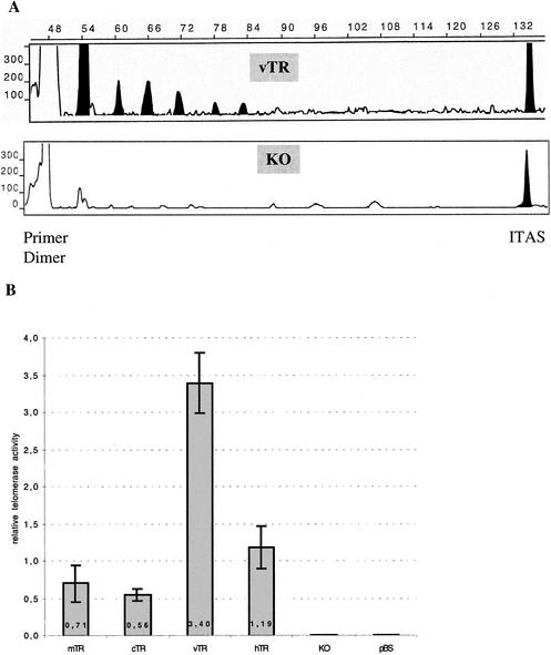 FIG. 7.