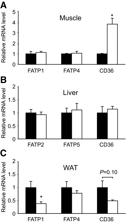 FIG. 7.