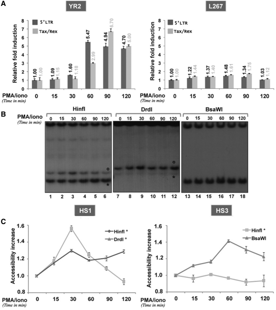 Figure 4.