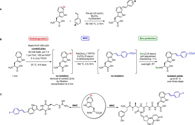 Scheme 15