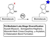 graphic file with name CHEM-26-5328-g020.jpg