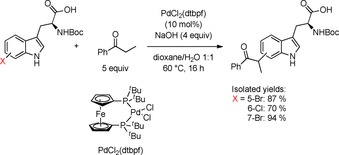 Scheme 16