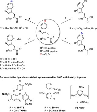 Scheme 6