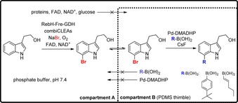 Scheme 13