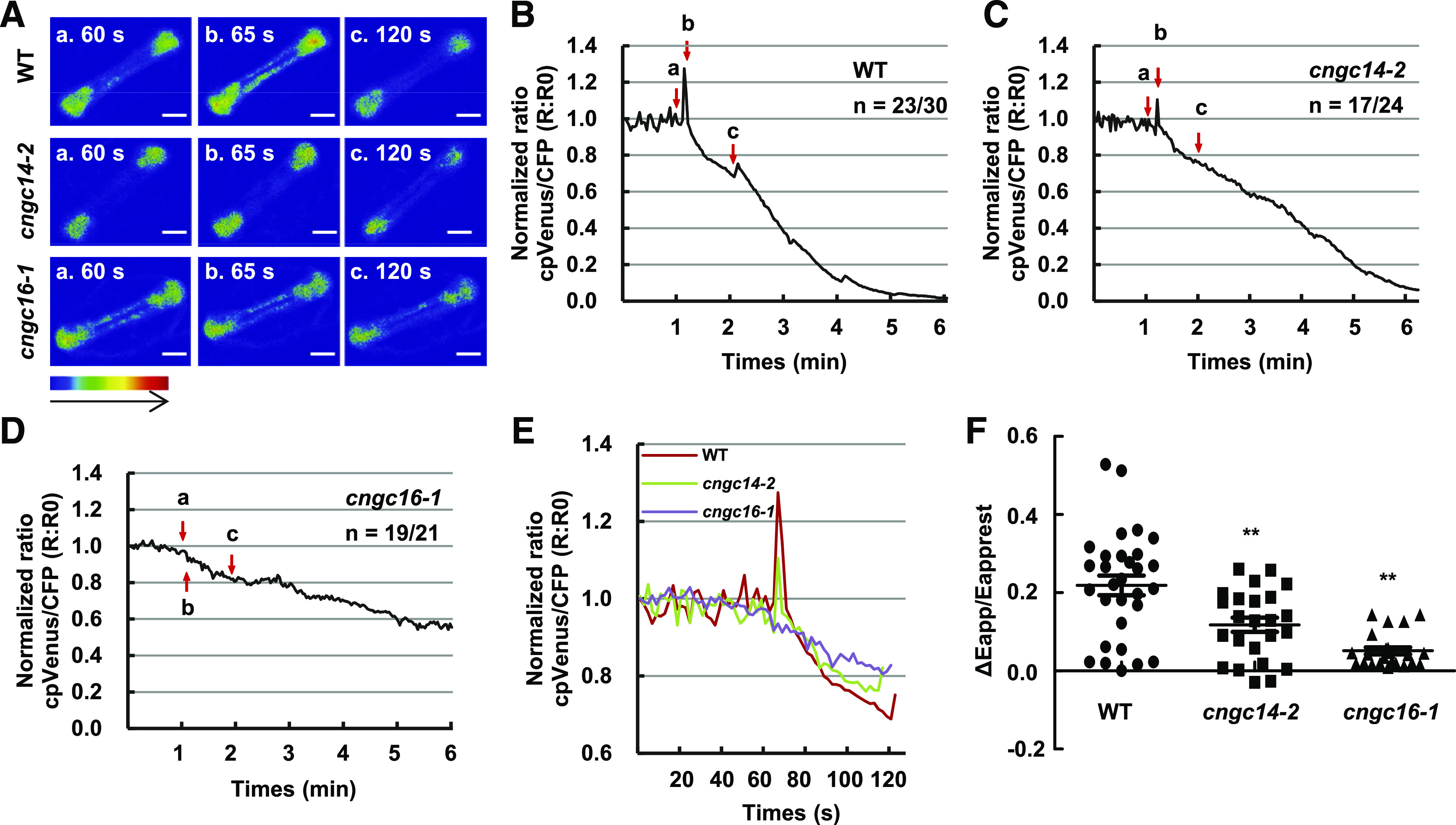 Figure 6.