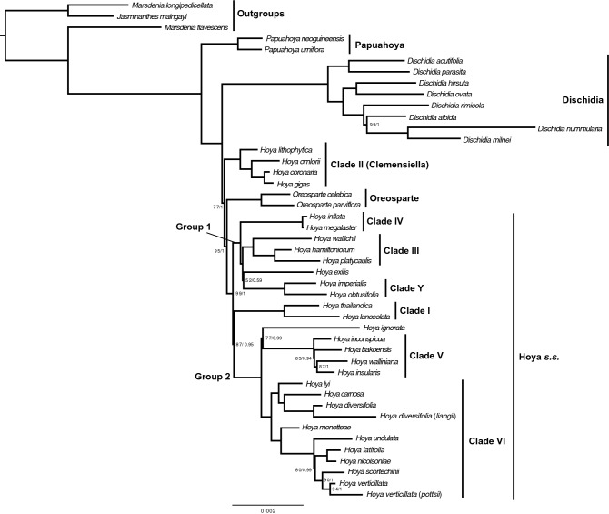 Figure 6