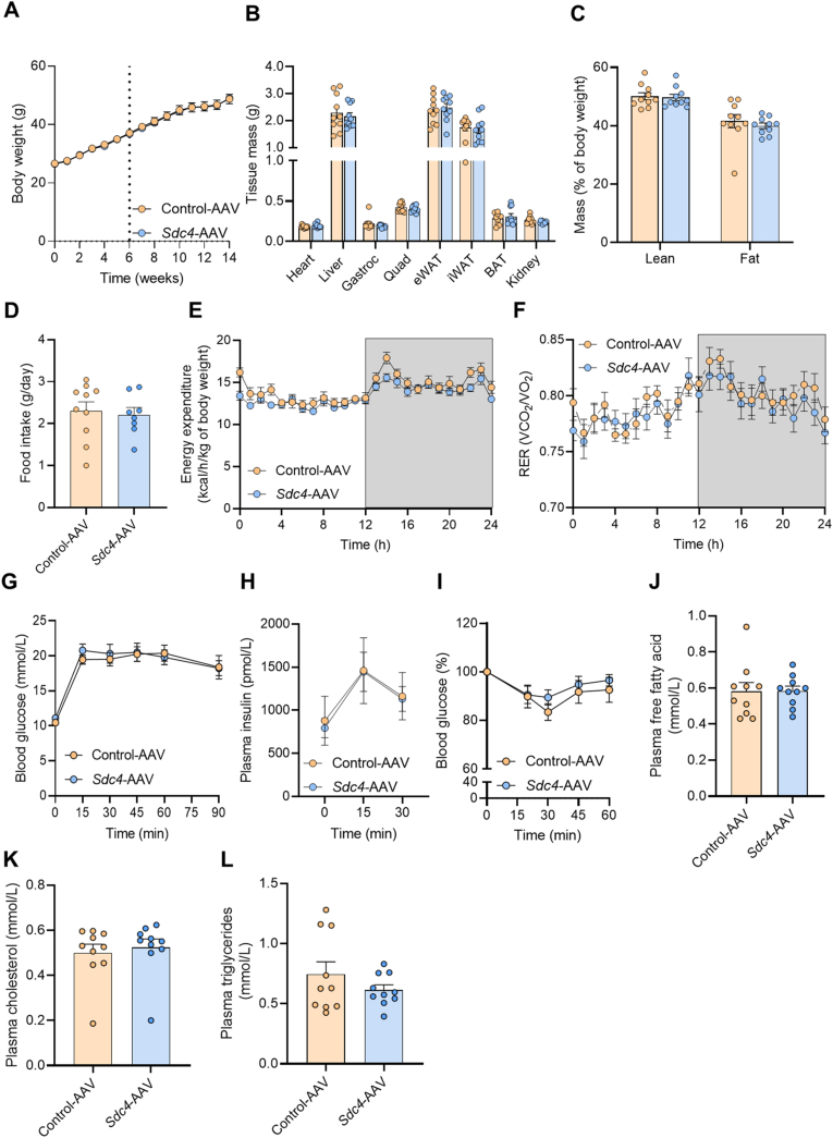 Figure 6