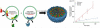 Fig. 10