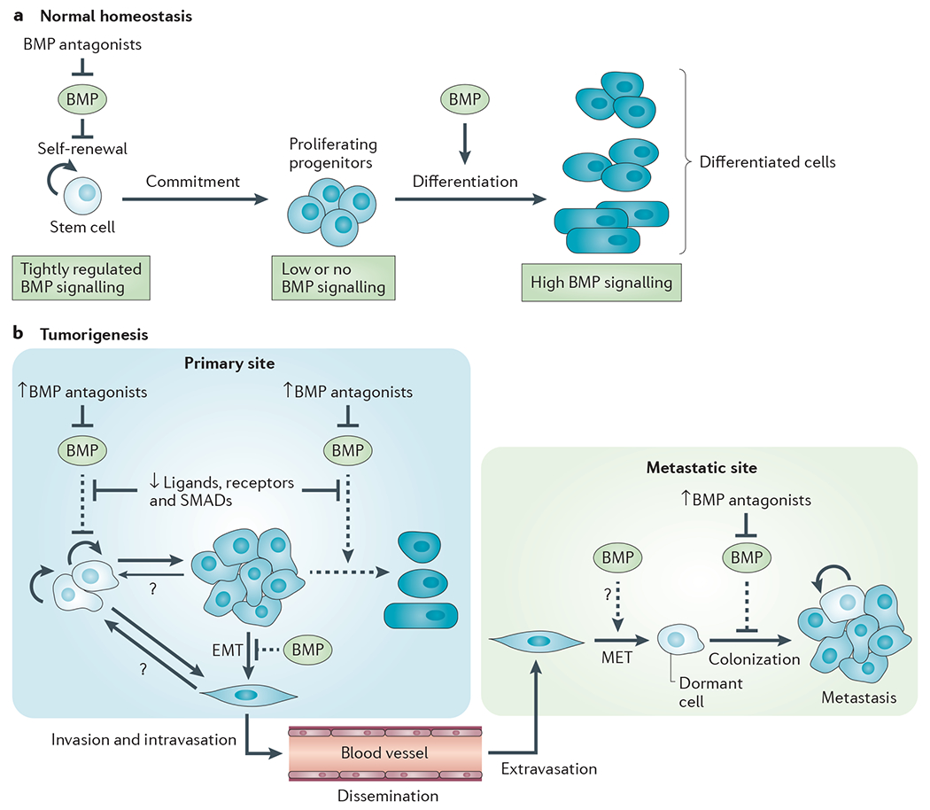 Figure 2 |