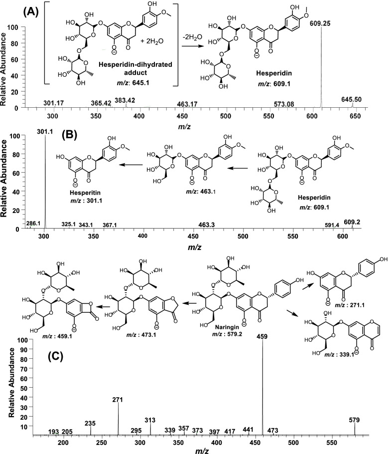 Fig. 5