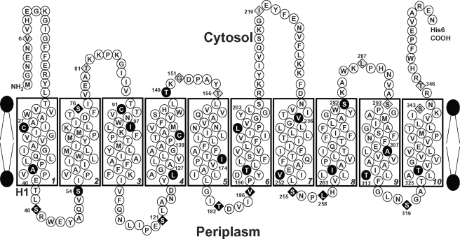 FIGURE 7.