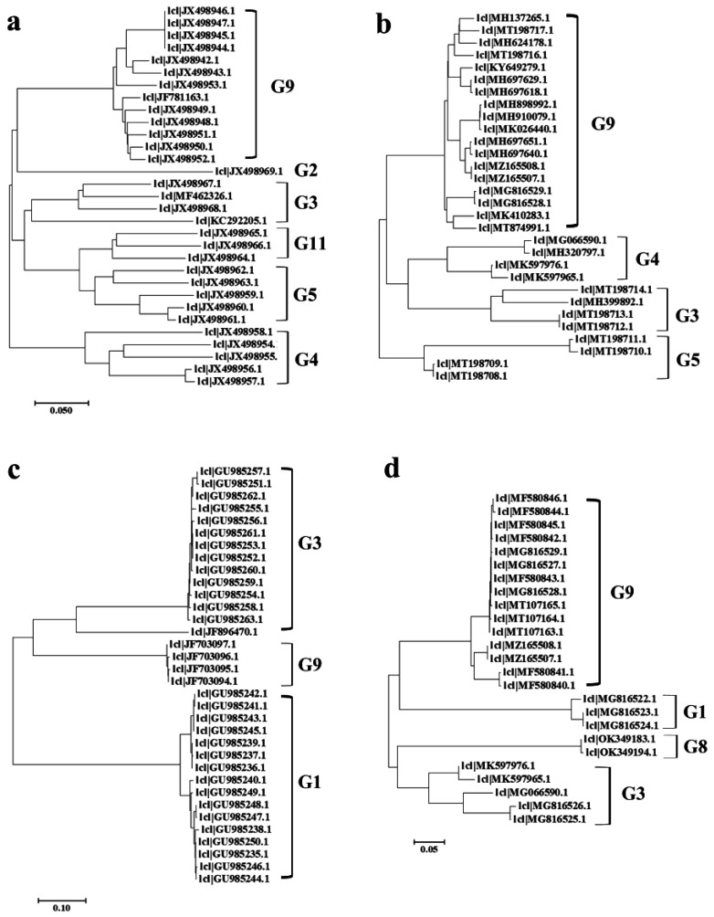 Figure 7