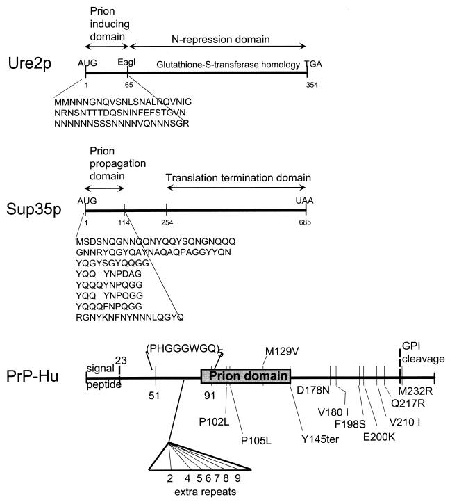 FIG. 10