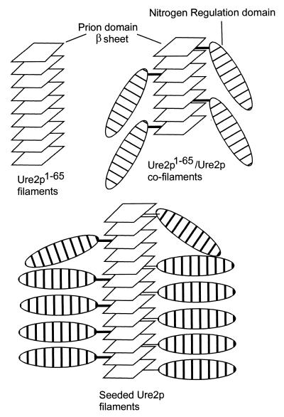 FIG. 8