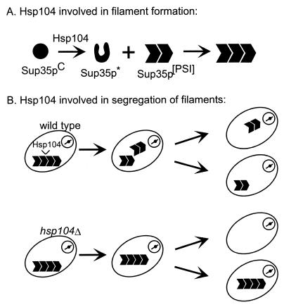 FIG. 11