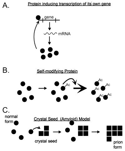 FIG. 1