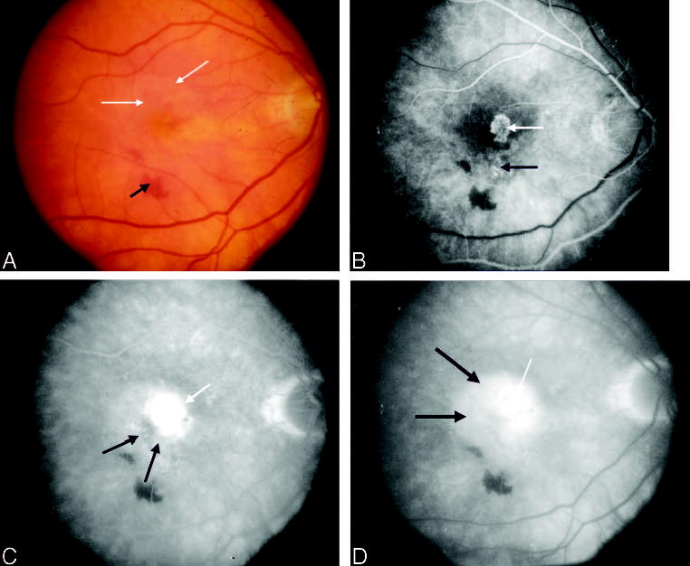 Fig. 8