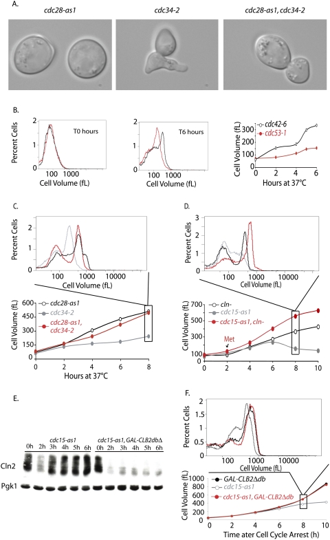 Figure 6.