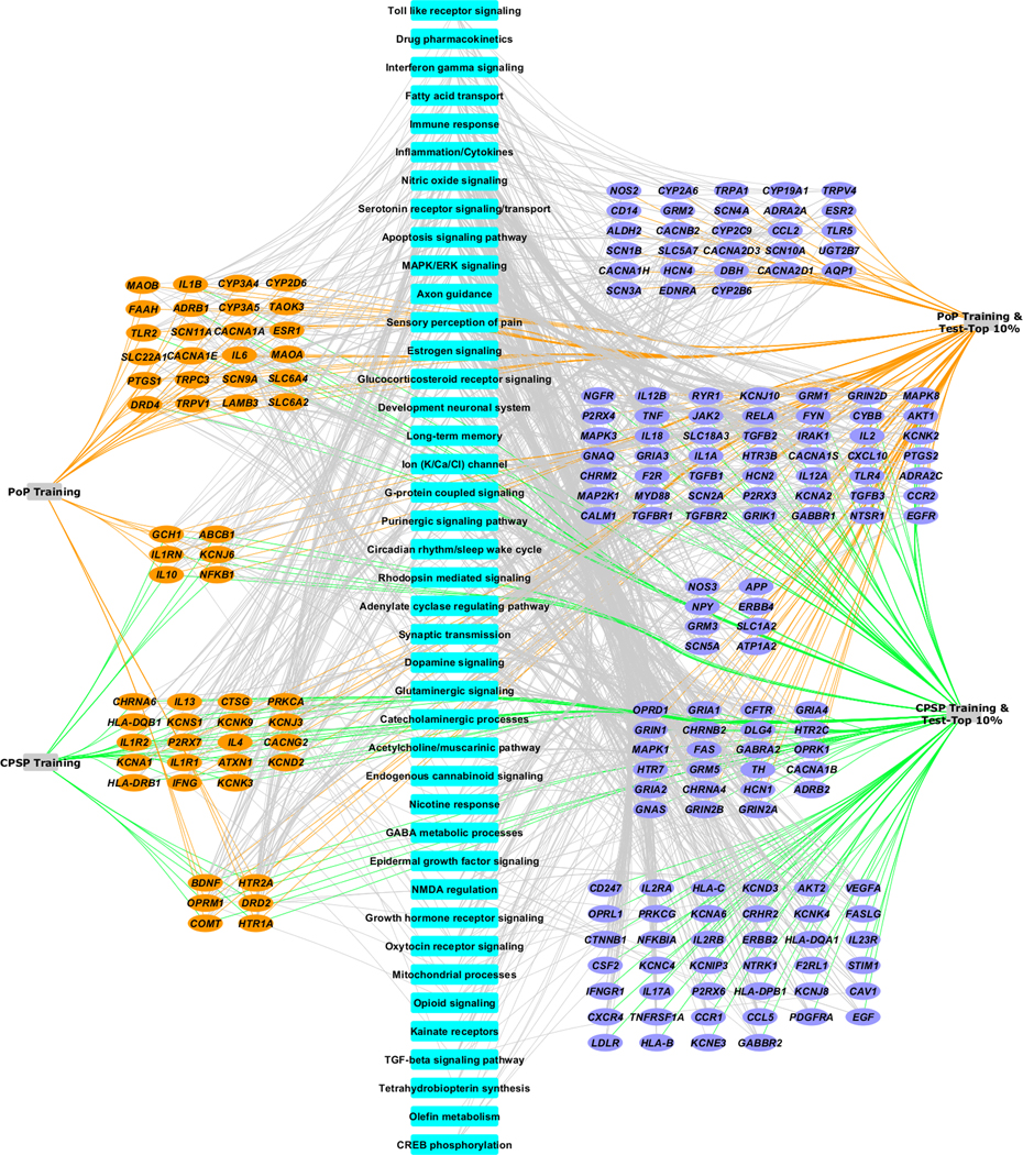 Figure 2: