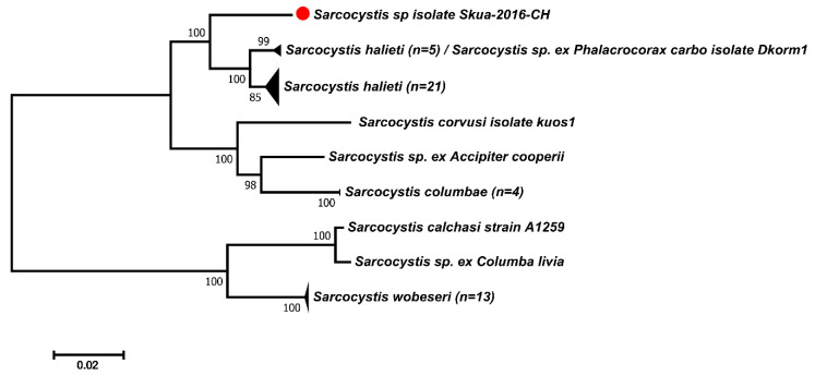 Figure 2