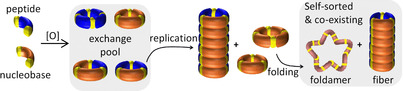graphic file with name ANIE-60-13569-g002.jpg